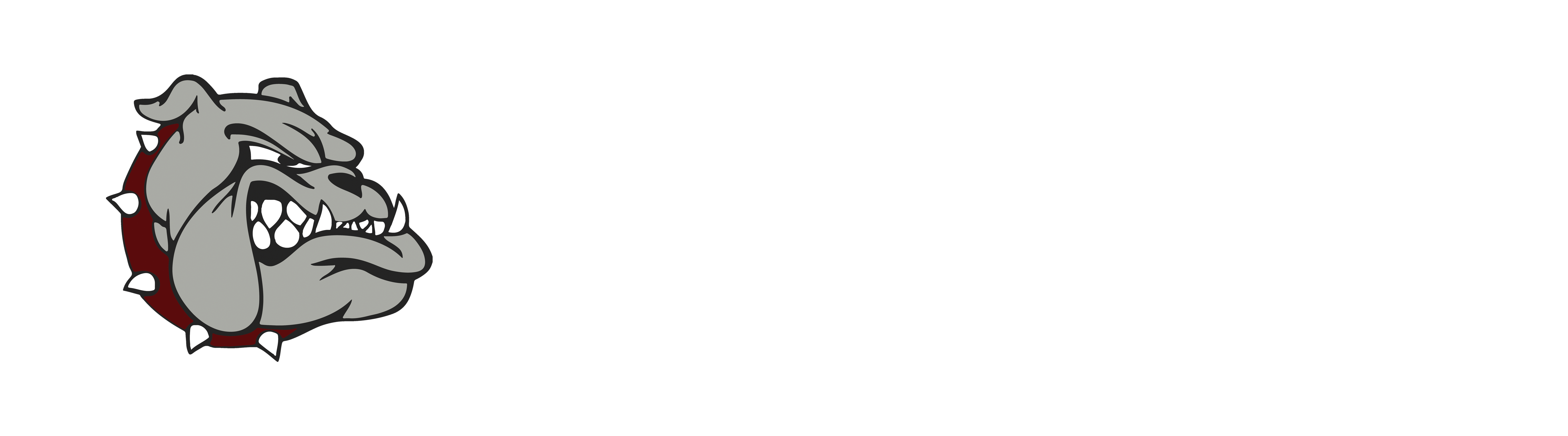 Delaware Academy Varsity Softball